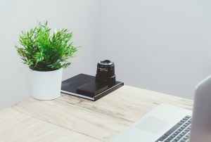 Image of a plant on a work desk